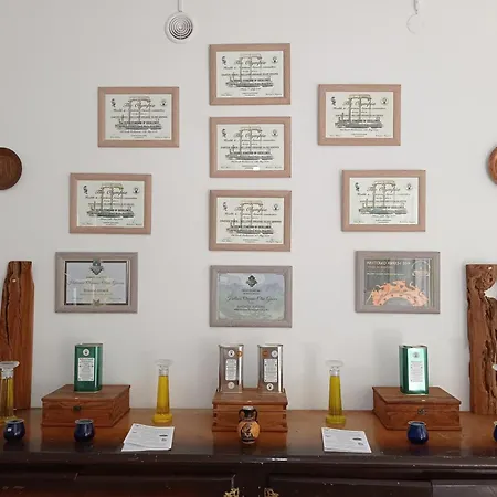 Kalderimi 'olive Green' Traditional House Promirion